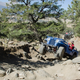 Illustration for article titled Theres Nothing Cooler Than Flat-Fender Jeeps Offroading